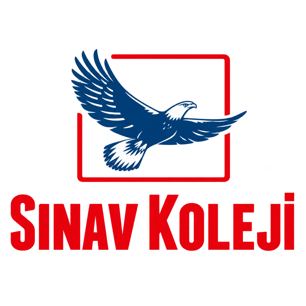 Sınav Koleji